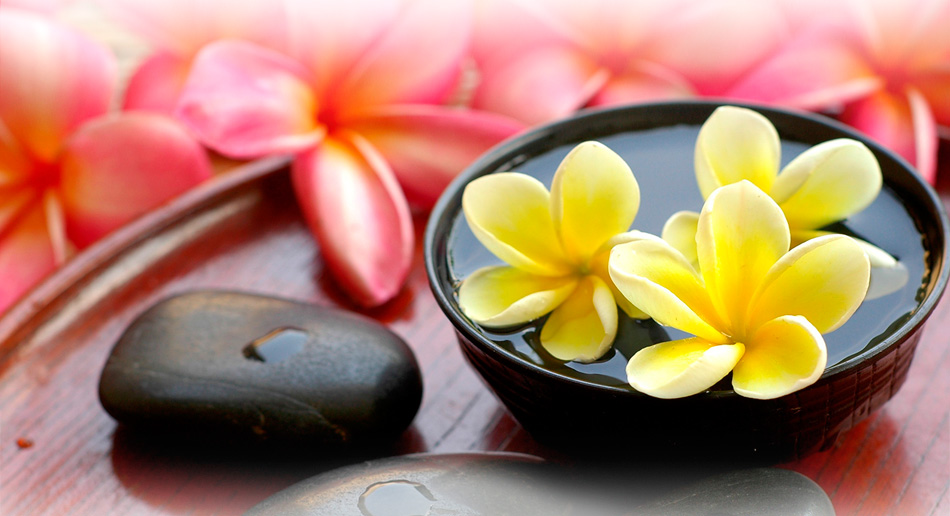 网络手机号在线发送